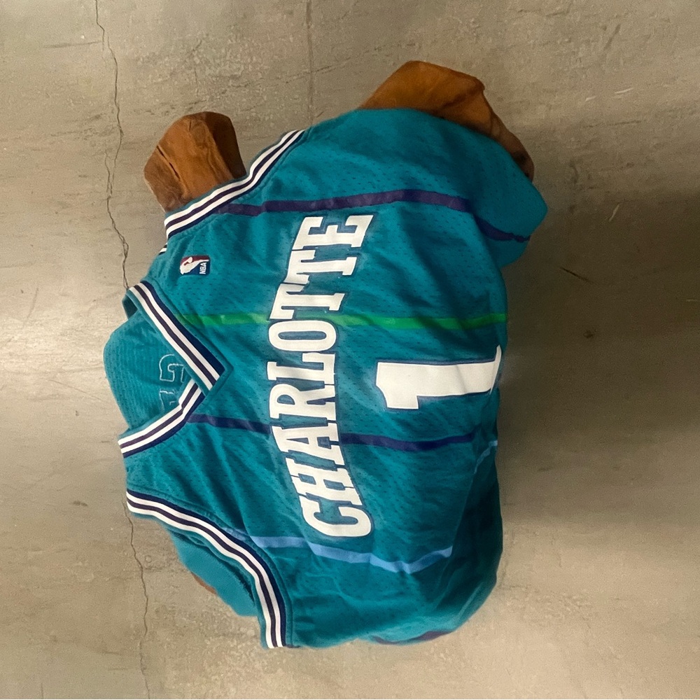 Teal Charlotte Jersey